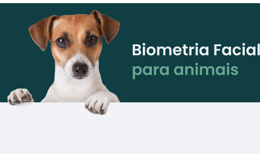 Biometria facial para animais